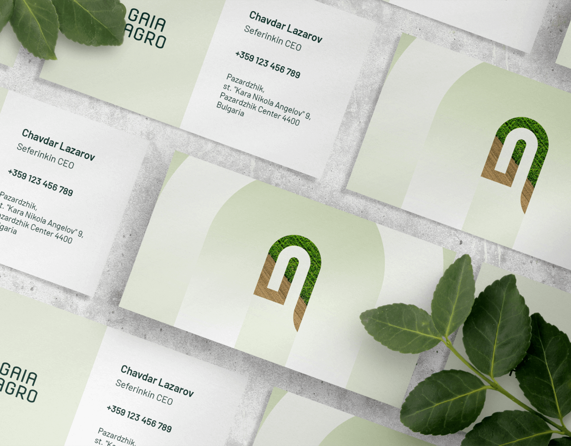 AG Art Studio GAIA Agro