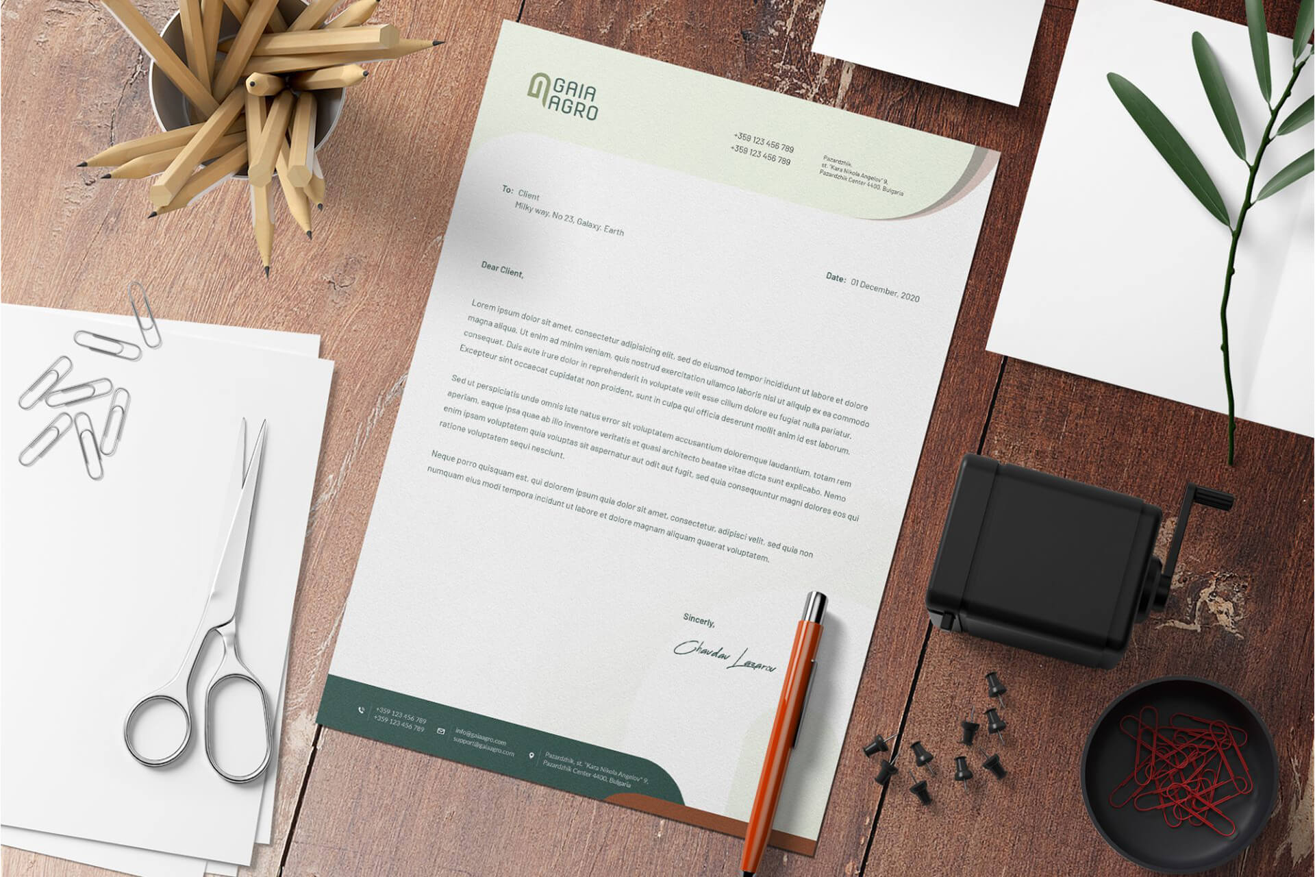 AG Art Studio GAIA Agro