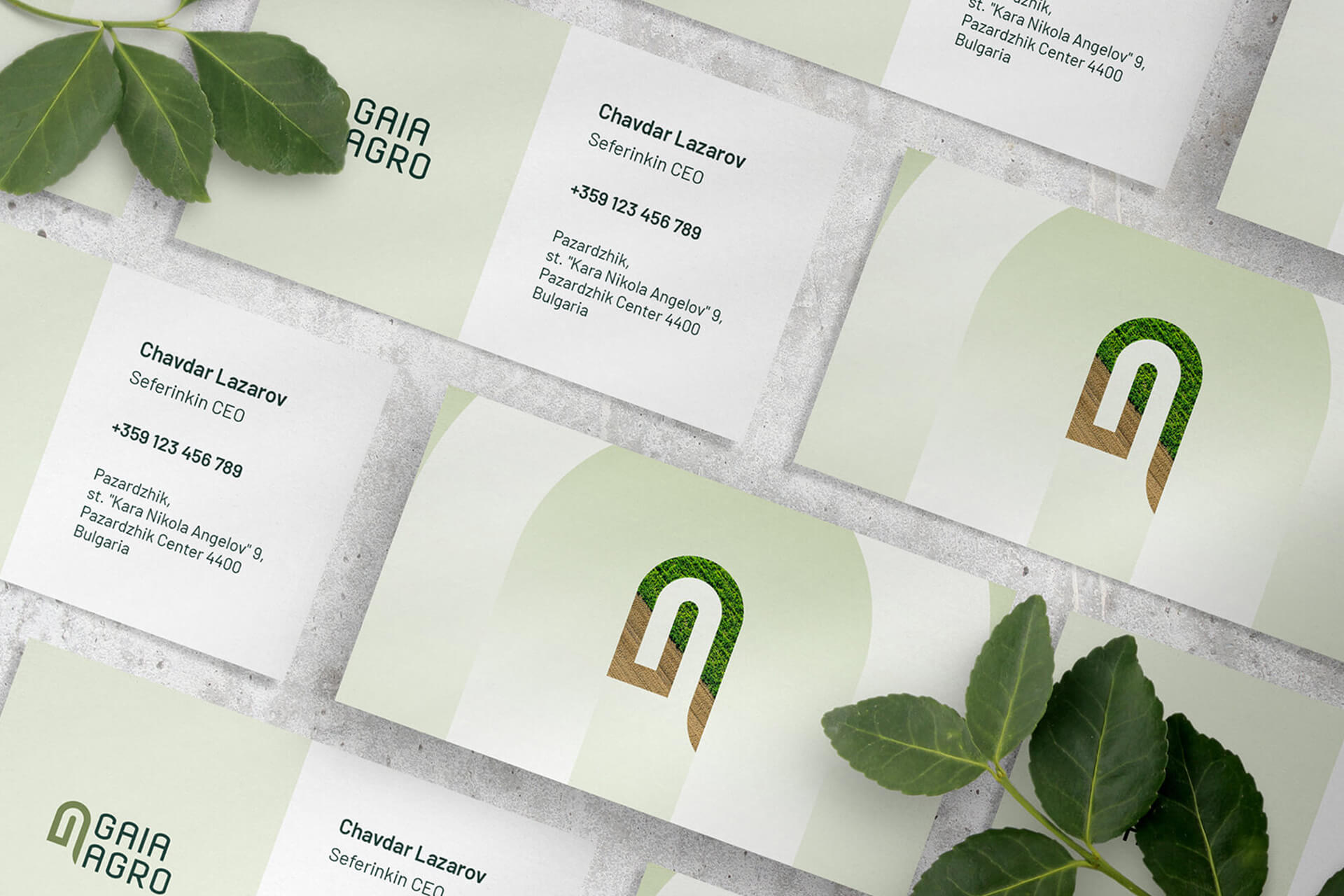 AG Art Studio GAIA Agro